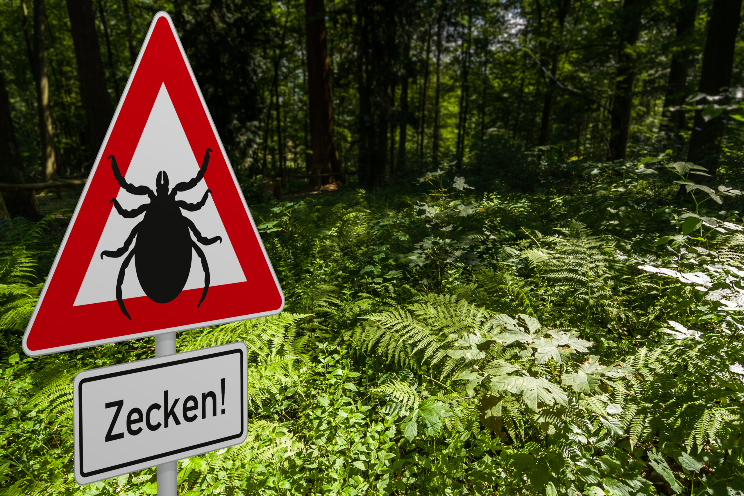 Caution Ticks in german Zeckenwarnung